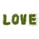 thumbnail image 2 of Decoración de pared artificial Nearly Natural LOVE de boj, 2 of 9