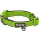 thumbnail image 1 of Collar de perro Blueberry Pet ajustable para perros pequeños, color verde, 1 of 6