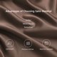 thumbnail image 4 of PiccoCasa Fundas de Almohada de Satén Suave y Sedoso con Cremallera Funda de Almohada Larga Queen Marrón, 4 of 7