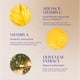 thumbnail image 5 of Sérum iS Clinical Pro-Heal Advance+ con vitamina C, E, 15 ml, 5 of 6