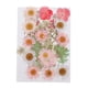 thumbnail image 3 of 25 piezas de flores secas prensadas naturales mixtas múltiples múltiples hojas de manualidades de bricolaje C, 3 of 5