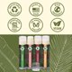 thumbnail image 4 of Bálsamo labial vegano Earth's Daughter – Pack de 4, 4 of 8