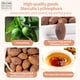 thumbnail image 2 of Té de hierbas Hee Creek Malva Nut Pangdahai 150 g, 2 of 6