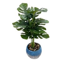 Genérico - Planta Artificial Decorativa Tropical Vegetación Exótica Jhn