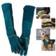 thumbnail image 1 of Guantes para manipulación de animales PeSandy de 60 cm, resistentes a mordidas y arañazos, 1 of 9