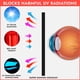 thumbnail image 4 of Gafas de bronceado Super Sunnies, protección ocular UV, 2 pares, 4 of 7