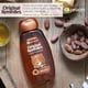 thumbnail image 4 of Shampoo Aceite de Coco, 4 of 6