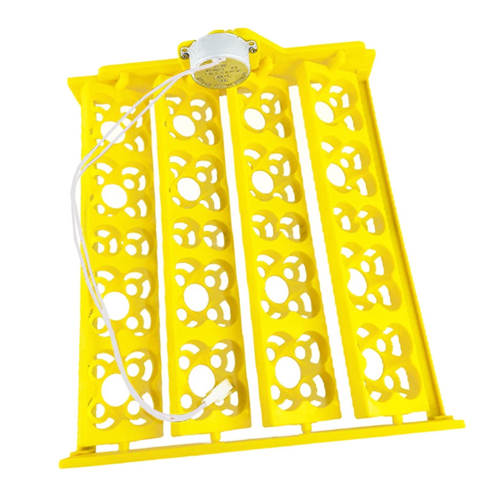Bandeja Para Incubadora De Huevos, Accesorio Para Bandeja Giratoria Para Pollo, Codorniz, Ganso AC12V