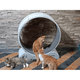 thumbnail image 3 of Rueda De Ejercicios Para Gatos, 3 of 3