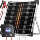 thumbnail image 1 of Voltset 20W 12V Solar Panel Battery Charger Trickle Maintain, 1 of 3