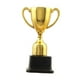 thumbnail image 3 of Trofeo De Premio Con Base, Copa De Trofeo Para Competición, Ceremonia De Entrega De Premios, Fiesta Temática, 19cm, 3 of 3