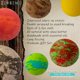 thumbnail image 4 of Set de regalo Bath Bombs ZenSeme, 8 unidades, perfumadas, orgánicas, 70 g, para hombre, 4 of 7