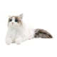 thumbnail image 4 of Muñeco De Gato Realista De Peluche De Gato Ragdoll Para Amantes De Los Gatos Niños Niñas Gato, 4 of 5