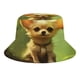 thumbnail image 1 of Chihuahua Sombrero bucket para adultos, gorra de protección solar, sombrero de pescador plegable para viajes al aire libre, pesca y actividades de verano, 1 of 6