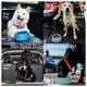 thumbnail image 3 of Cuenco de agua para perros OHMO, a prueba de derrames, plegable, 700 ml, para coches, 3 of 6