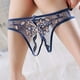 thumbnail image 1 of Floral Embroidery Mesh Panties, Sultry Hollow Out Open Crotch Sheer Panties, Women's Sexy Lingerie & Underwear, 1 of 3