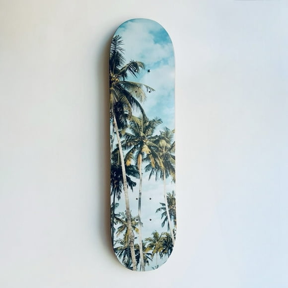 Cuadro Mural Tabla Skate Palmeras