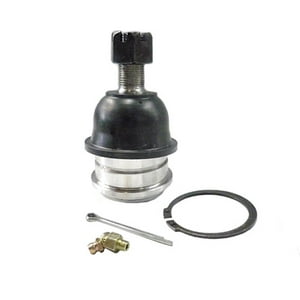 Corven - Rotula Zna Rich Inferior 10/18