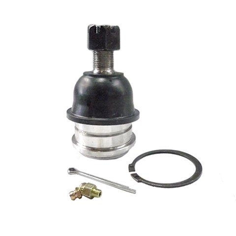 Corven - Rotula Zna Rich Inferior 10/18