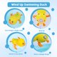 thumbnail image 3 of Juguetes de Baño Cuterabit Tortuga y Pato con Mecanismo de Cuerda 3 Piezas, 3 of 7