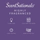 thumbnail image 4 of Wax Melts Scentsationals, aroma de cedro y lavanda, 300 ml, 4 of 7