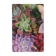 thumbnail image 1 of Plantas suculentas Cartel de metal, decoración de pared con cartel de metal personalizado, regalos para aficionados, amigos, familia y seres queridos 30x20 cm, 1 of 6