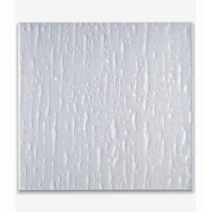 Acrílico Shower 84X172Cm Diseño Lluvia Dvp