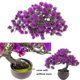 thumbnail image 4 of Árbol Bonsái Artificial Fycooler 30 × 25 × 8 cm para Decoración de Interiores, 4 of 7
