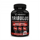thumbnail image 1 of Tribulus 1500mg Maximum Strength 120 Capsulas Xemenry, 1 of 11