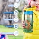 thumbnail image 5 of Bambi Botella de Agua con Tapa Pop Top de Un Toque, Acero Inoxidable, a Prueba de Fugas, para Deportes, Botella Infantil azul 12 oz, 5 of 6
