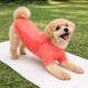 thumbnail image 4 of Playera para perro Pet Life Active Warf-Speed ultraelástica, 4 of 9