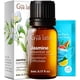 thumbnail image 1 of Aceite Esencial Gya Labs Jazmín 5 ml para Aromaterapia, 1 of 6
