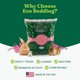 thumbnail image 2 of Cama para mascotas ECO BEDDING 4,5 kg Rosa sin polvo, 2 of 9