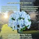 thumbnail image 3 of Juego de 2 arbustos artificiales de hortensia QIANYUN 51 cm en maceta, 3 of 5