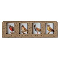 Andes1 - Set De 4 Tazas De Pájaros N°1