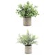 thumbnail image 3 of 2x Plantas Suculentas Falsas Artificiales Mini Romero En Maceta + Desmodium, 3 of 4