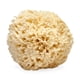 thumbnail image 1 of Esponja de lana marina, espuma, exfoliante corporal natural, 1 of 9