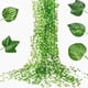 thumbnail image 5 of suxuMhao Plantas Artificiales, Guirnalda de Hiedra Artificial Enredaderas de Hiedra Falsas Plantas Colgantes Falsas Enredaderas con 36 Hojas de Enredadera de Begonia Artificial, 2.5yd Unidad, 3, 5 of 5