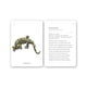 thumbnail image 5 of Fíjate: Réptiles y anfibios, 5 of 5