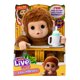 thumbnail image 1 of Peluche Bebe Mono, 1 of 4