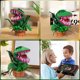 thumbnail image 5 of Juguete de construcción Aphpaio Audrey 2 Piranha Plant compatible con Lego, 5 of 8