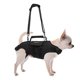thumbnail image 1 of Arnés de Elevación para Perro RIXBEO S de Tela Oxford de Cuerpo Completo, 1 of 8