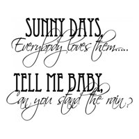 Rienda Libre Graphics - Decomural Can You Stand The Rain- Love Ws-34062