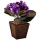 thumbnail image 3 of Silk Plant, violeta africano casi natural, con jarrón (juego de 2), 3 of 3