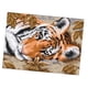thumbnail image 5 of Kit de punto de cruz estampado preimpreso bordado con estampado de tigre 14ct 29 x 21 cm, 5 of 5