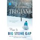 thumbnail image 1 of Home to Big Stone Gap: Una novela, 1 of 1