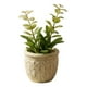 thumbnail image 2 of Planta Artificial Decorativa Adorno Hogar Macetero Jhn, 2 of 3