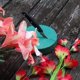 thumbnail image 3 of Bloques de espuma florales FLOFARE redondos para flores frescas o artificiales, 3 of 9