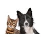 thumbnail image 1 of Item pruebas de stress N11, 1 of 1
