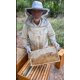 thumbnail image 2 of Cera de abeja natural premium Swampland Bees & Co. 2.72 kg (6 lb), 2 of 9